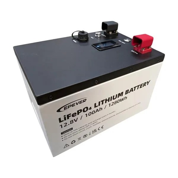 Epever LiFePO4 Battery 12.8V 100Ah IP65