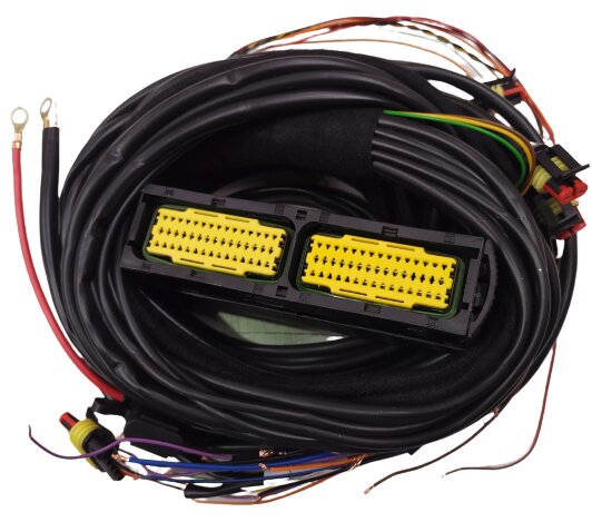 Wiring Loom AC STAG 300-8 Qmax Plus